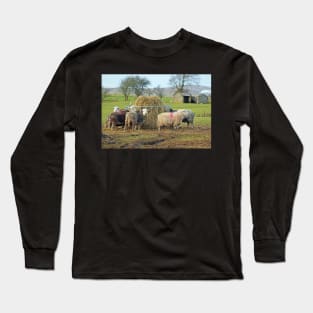 Herwick Sheep having their lunch... Long Sleeve T-Shirt